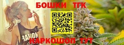 МДПВ Славгород