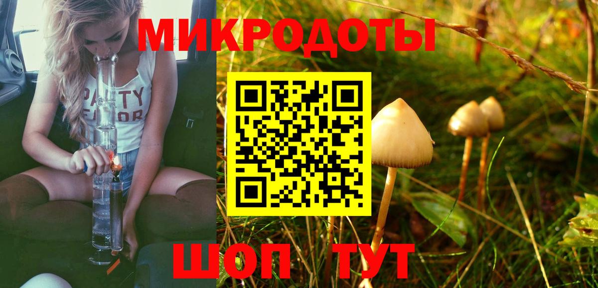 Приморско-Ахтарск  Псилоцибиновые грибы мицелий  Вход с VPN  Псилоцибиновые грибы GOLDEN TEACHER 