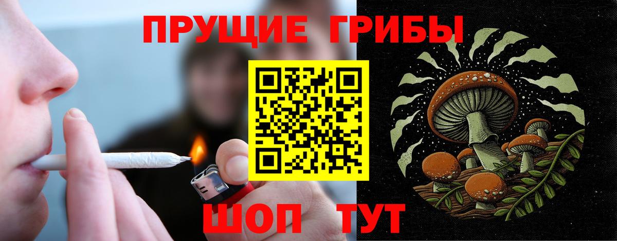 Галлюциногенные грибы Cubensis Приморско-Ахтарск